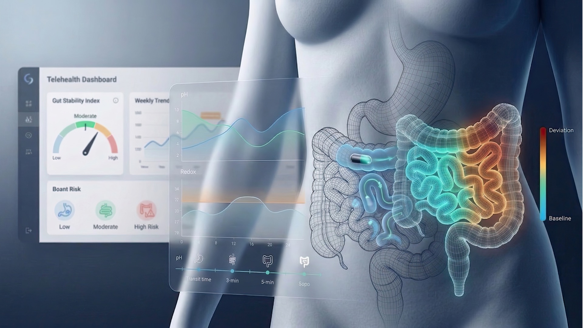 Digital Gut Twin visualization with telehealth dashboard and anatomical gut model